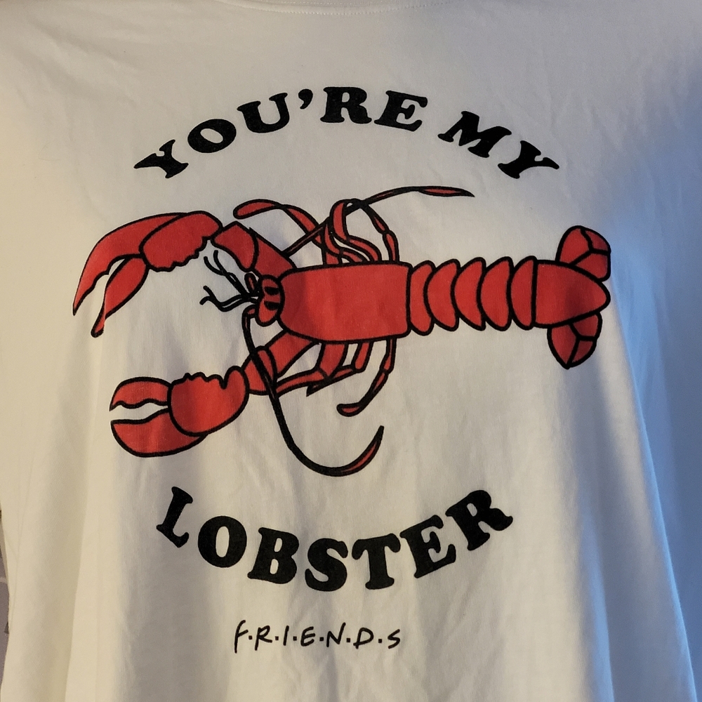 FRIENDS You're My Lobster Hi-lo Tee Soft & Comfy Women's Slim Fit XXL White